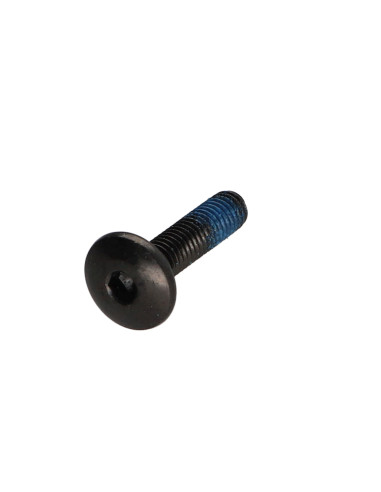 1 x Vite Testa Poelier Larga M6X25 Chiave...