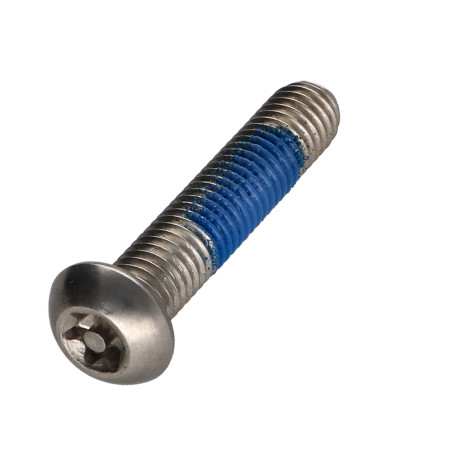 1 x Vite Per Metalli Acciaio Inox A2 Di Sicurezza Testa Bombata T40 con perno M8X40 Frenafiletti