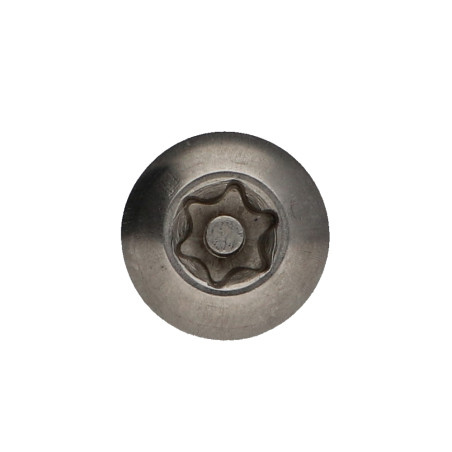 1 x Vite Per Metalli Acciaio Inox A2 Di Sicurezza Testa Bombata T40 con perno M8X40 Frenafiletti