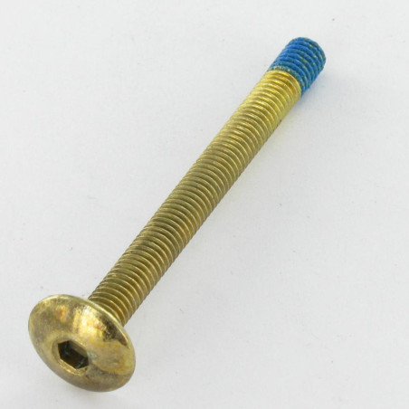 1 x Vite Testa Poelier Larga M6X65 Chiave Esagonale Da 4 Acciaio Ottonato Frenafiletti