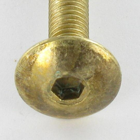 1 x Vite Testa Poelier Larga M6X65 Chiave Esagonale Da 4 Acciaio Ottonato Frenafiletti