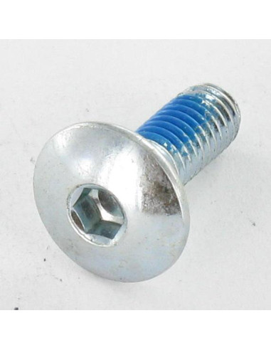 1 x Vite Testa Poelier Larga M6X16 Chiave...