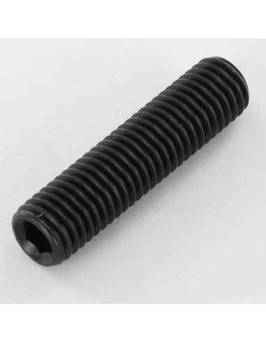 1 x Vite Per Metalli Senza Testa Con Cava...