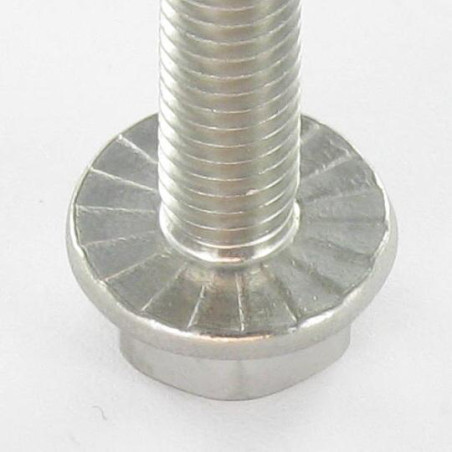 1 x Vite Per Metalli Testa Esagonale Flangia Dentellata M8X25 Acciaio Inox A4
