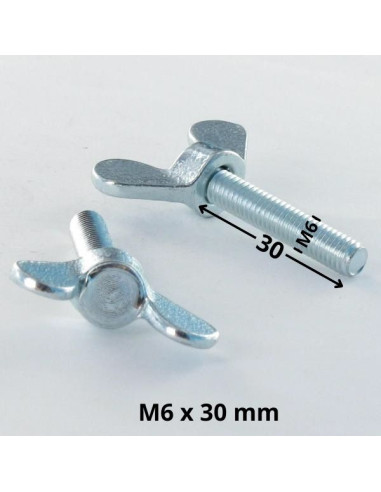 1 x Vite Alette M6X30 Zincate