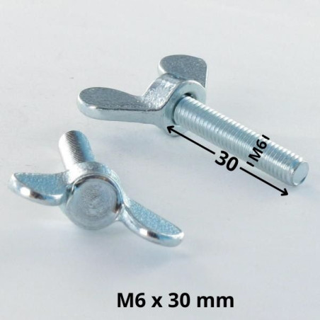 1 x Vite Alette M6X30 Zincate
