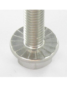 Vite Per Metalli Testa Esagonale Flangia Dentellata M6X60... 2