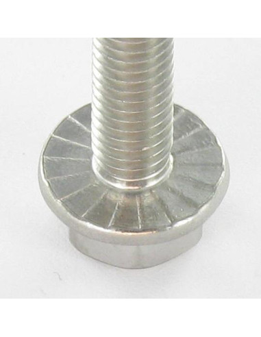 1 x Vite Per Metalli Testa Esagonale Flangia...