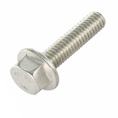 1 x Vite Per Metalli Testa Esagonale Flangia Dentellata M6X40 Acciaio Inox A4