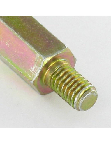 1 x ESTENSIONE Esagonale Maschio/Femmina M6X10...