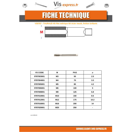 1 x Maschio HSS M6 Passo 100