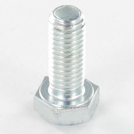 1 x Vite Per Metalli Testa Esagonale M10X120 Classe 6.8 Zincate