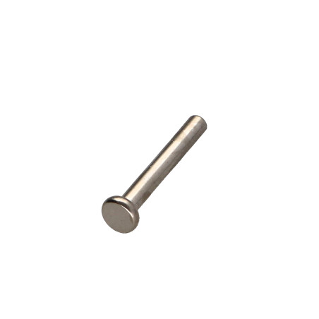 1 x Rivetto FORES Testa Piatta 3X21 Acciaio Nichel