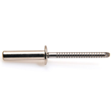 1 x Rivetto Sigillato STOP MINOX Testa tonda standard 4.8X10