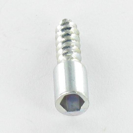 1 x Vite Per Lamiera A Esagono Incassato Chiave Esagonale Da 3 3,5 x 10,5 Zincate