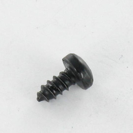 1 x Vite Per Lamiera Testa Cilindrica T10 2,9X13 Acciaio Zincato Nero