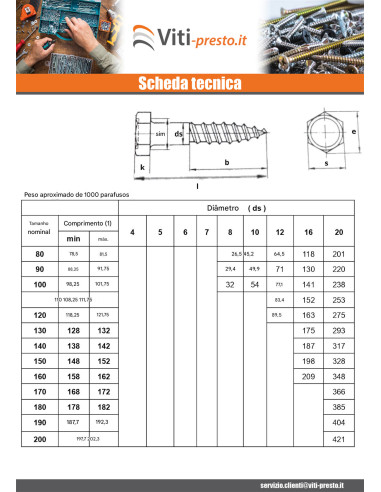 1 x Viti A Legno Acciaio Inox A2 12X120