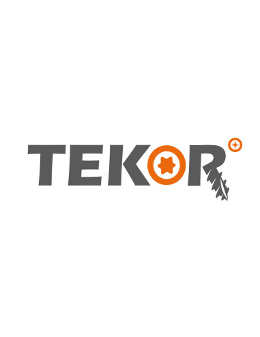 1 x Viti per legno TEKOR Acciaio Inox A2 Testa...