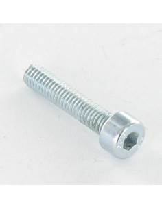 Vite Per Metalli A Esagono Incassato M12X100 Discussione...