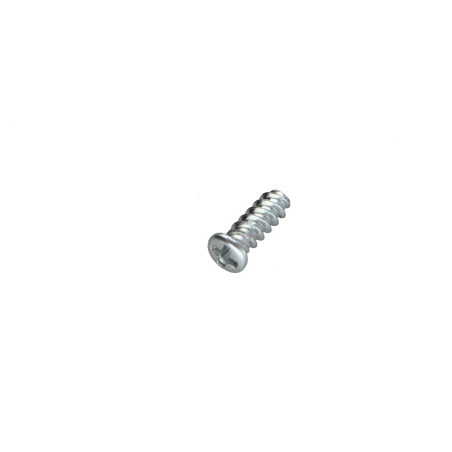 1 x Vite Autofilettante Per Plastica Testa Cilindrica Phillips 0 2X5 Zincate microviti