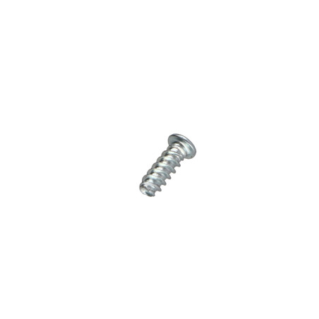 1 x Vite Autofilettante Per Plastica Testa Cilindrica Phillips 0 2X5 Zincate microviti