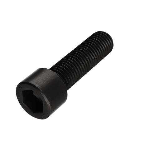 1 x Vite Per Metalli A Esagono Incassato Chiave Esagonale Da 17 M22X55 Discussione completa Classe 12.9 Acciaio Grezzo