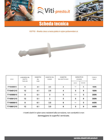 1 x Rivetto Cieco Testa Piatta Nylon Poliammide...