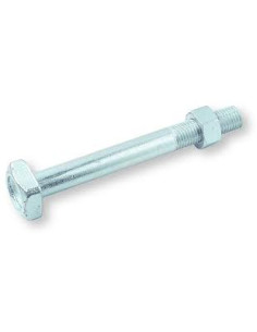 Bullone (Venduto Con Dado) Telaio M20X325 Testa Quadrata...