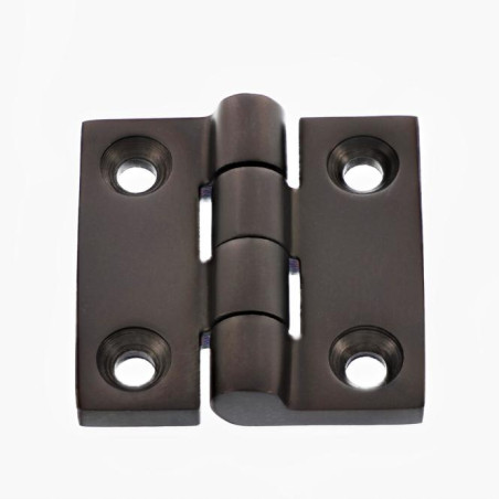 1 x Charni re Quadrata 50X50 Acciaio Inox A4 Nero
