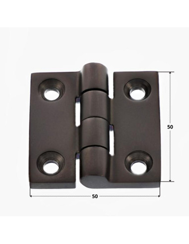 1 x Charni re Quadrata 50X50 Acciaio Inox A4 Nero