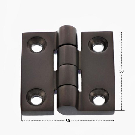 1 x Charni re Quadrata 50X50 Acciaio Inox A4 Nero