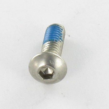 1 x Vite Per Metalli Acciaio Inox A2 Bei (Testa Bombata Esagono Incassato) M6X10 Discussione completa Chiave Esagonale Da