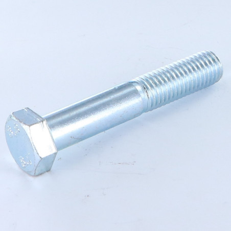 1 x Gambo Del Bullone Parzialmente Filettato Testa Esagonale M14X100 Classe 8.8 Zincate
