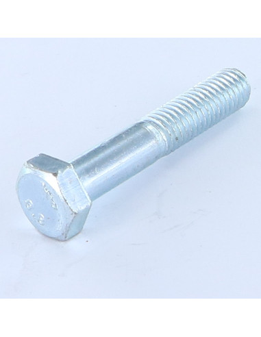 1 x Gambo Del Bullone Parzialmente Filettato...