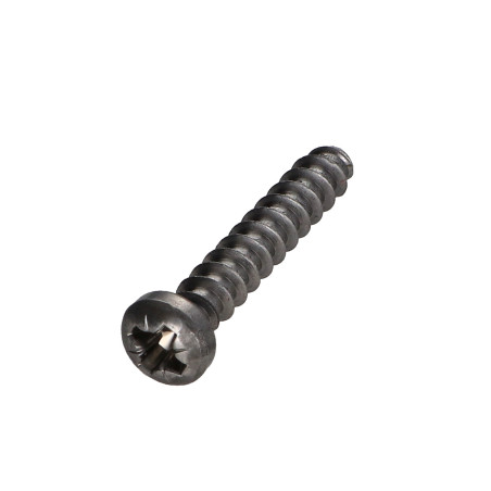 1 x Vite Euro Testa Cilindrica Bombata Pozy 5X11 Diametro Della Testa: 9.5 Classe 6.8 Acciaio Zincato Nero