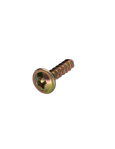 1 x Vite Euro Testa Poelier Larga Pozy 4x16 FR...
