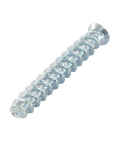1 x Vite Euro Testa Forata Pozy 6,3X16 Diametro...