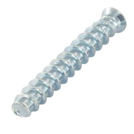 1 x Vite Euro Testa Forata Pozy 6X10 Diametro Della Testa: 6.5 Zincate con