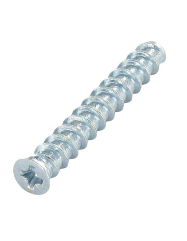 1 x Vite Euro Testa Forata Pozy 6,3X10 Diametro...