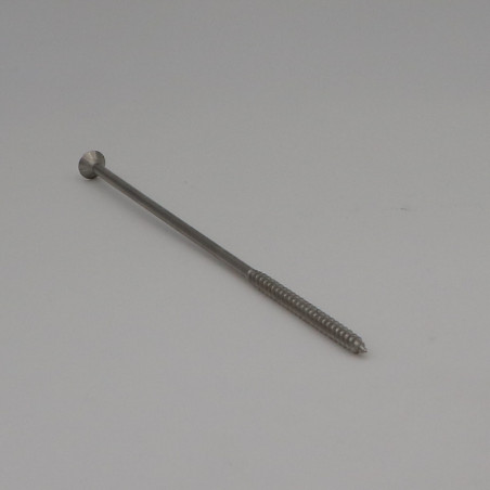 1 x Vite Per Legno E Truciolato Acciaio Inox A2 Testa Forata Pozy 6X200