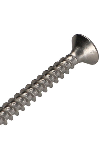 1 x Vite Per Legno E Truciolato Acciaio Inox A2...