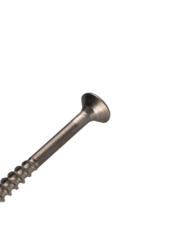 1 x Vite Per Legno E Truciolato Acciaio Inox A2...