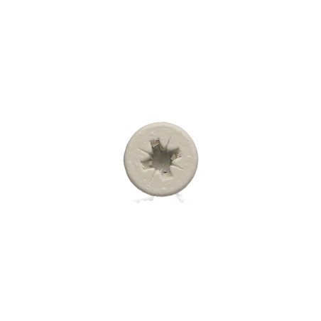 1 x Vite Per Legno E Truciolato Acciaio Inox A2 Testa Forata Pozy 4X20 Laccato Bianco 9010