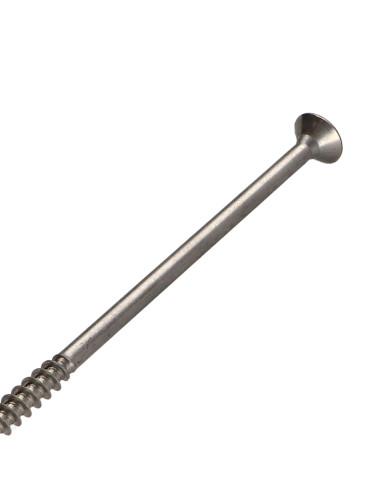 1 x Vite Per Legno E Truciolato Acciaio Inox A2...