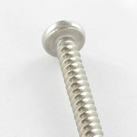 1 x Vite Per Lamiera testa bombata larga Pozy Con Intaglio 3,9X13 Acciaio Inox A2 50 PPM