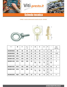 Anello Di Sollevamento MASCHIO M45 Zincate 2