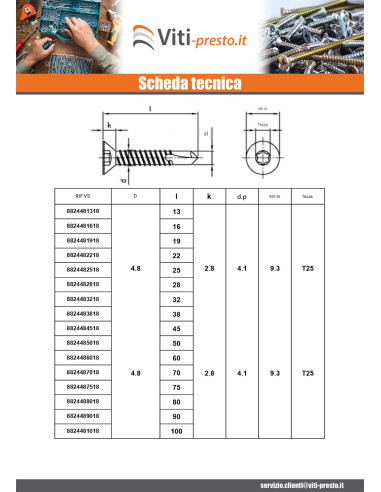 1 x Vite Autoperforante Testa Forata 4.8X13 T25...