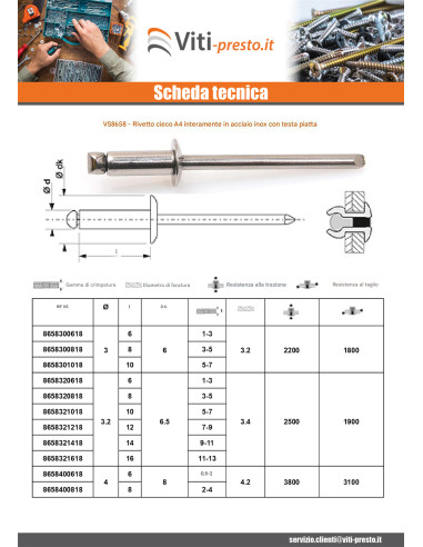 1 x RIVAVEU Tutto Acciaio Inox A4 Testa tonda...