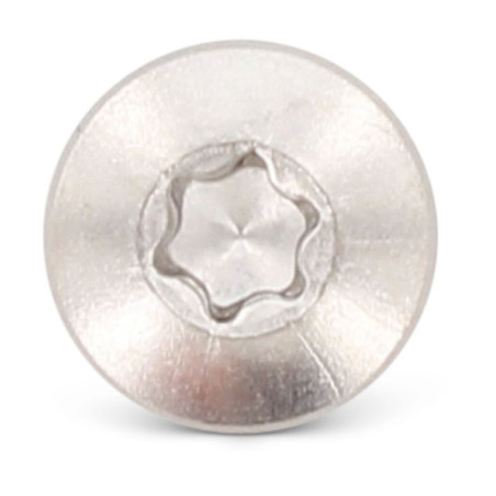 1 x Vite Autoperforante Testa Cilindrica 2,9X19 T8 Acciaio Inox Aisi 410