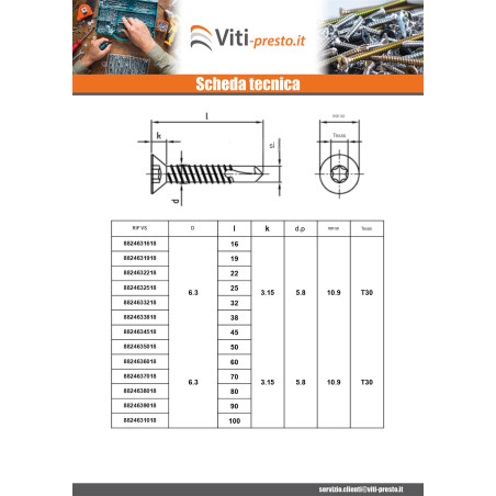 1 x Vite Autoperforante Testa Forata 4,2 x 13 T20 Acciaio Inox Aisi 410